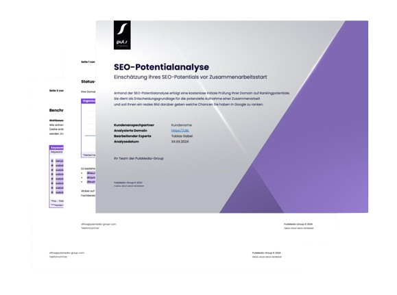 SEO-Potentialanalyse