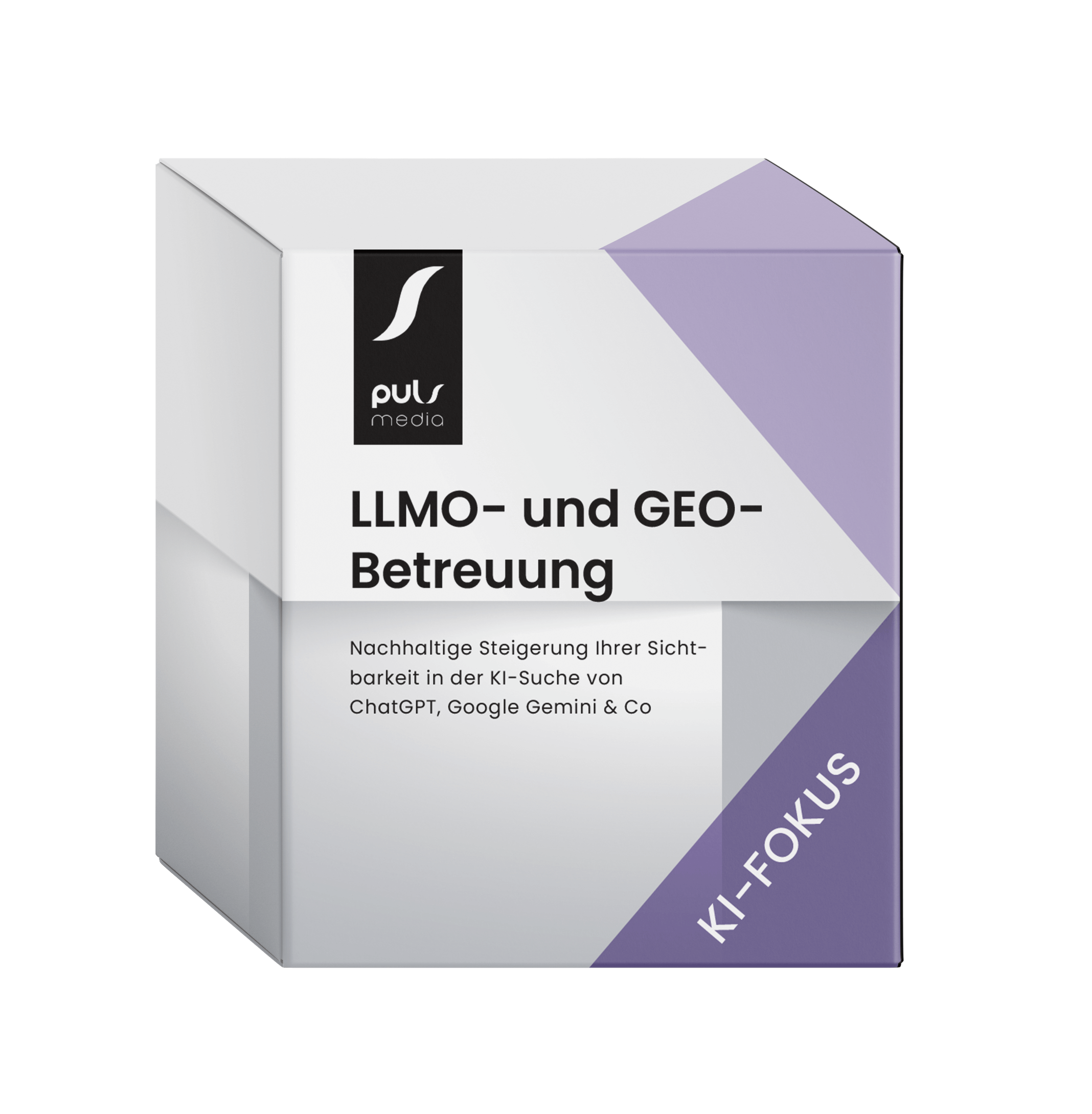 llmo-geo-betreuung